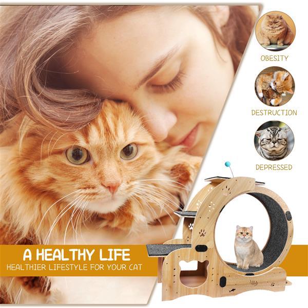 Woman petting a cat with a cat activity wheel and health benefits text on a white background