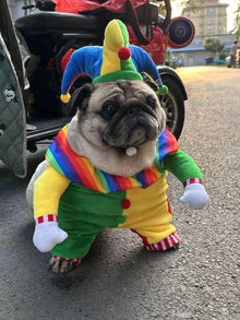 Pet Clown Costume Jumpsuit - Colorful Halloween Outfit with Hat