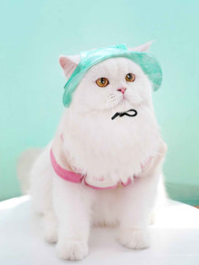 Adjustable Pet Visor Hat