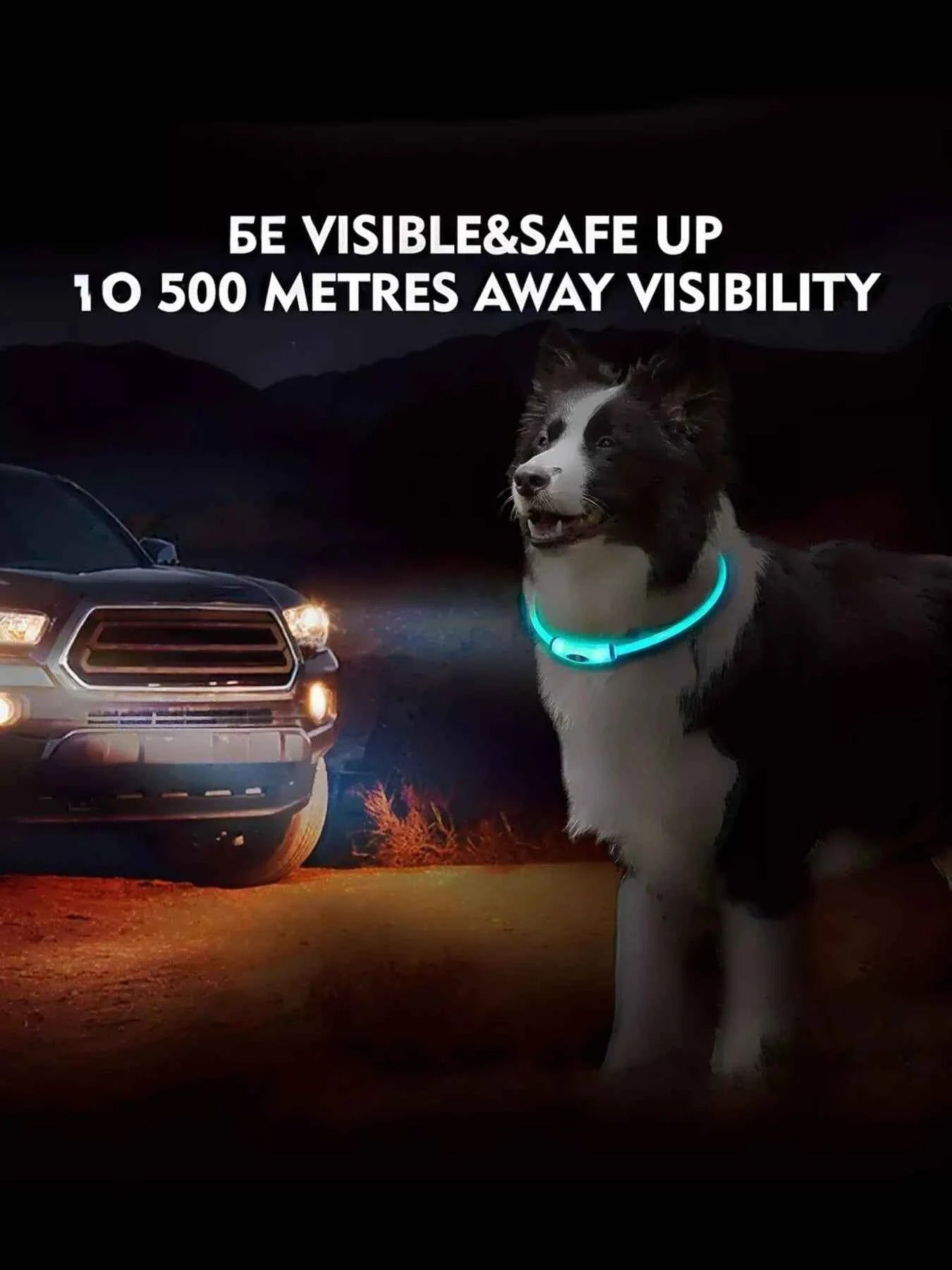 USB Rechargeable Cuttable Full Glow LED Pet Collar for Night Anti-Lost