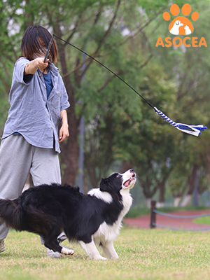 Dog Flirt Pole - Extendable Teaser Wand for Training