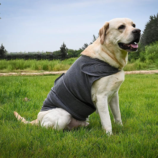 Dog Anxiety Jacket - Breathable Thunder Vest