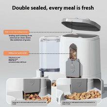 Pet Feeder Automatic Drinking Water Large Capacity Integrated