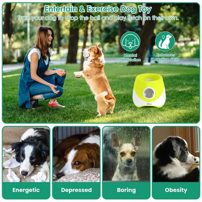 Dog Ball Launcher Automatic - Rechargeable 3 Distances 6 Balls