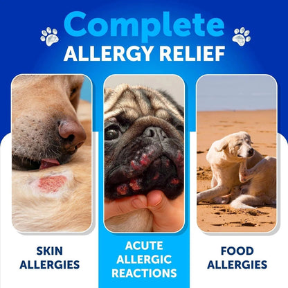 Dog Allergy Relief Chews - 120 Count with Fish Oil