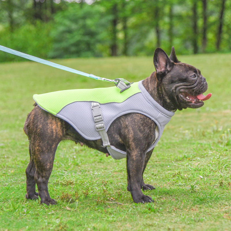 Summer Dog Cooling Vest - Heat Resistant Breathable Pet Clothing
