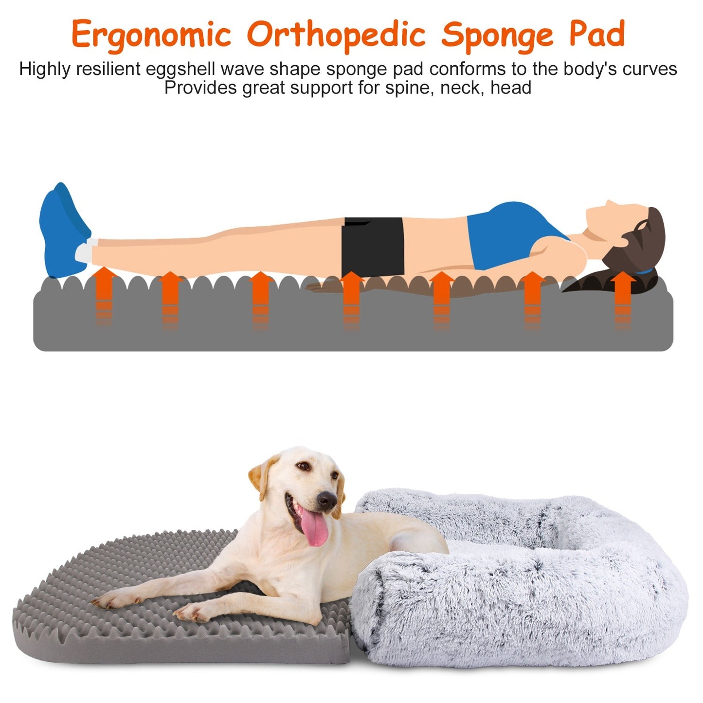 Large Foldable Human Size Dog Bed With Pillow