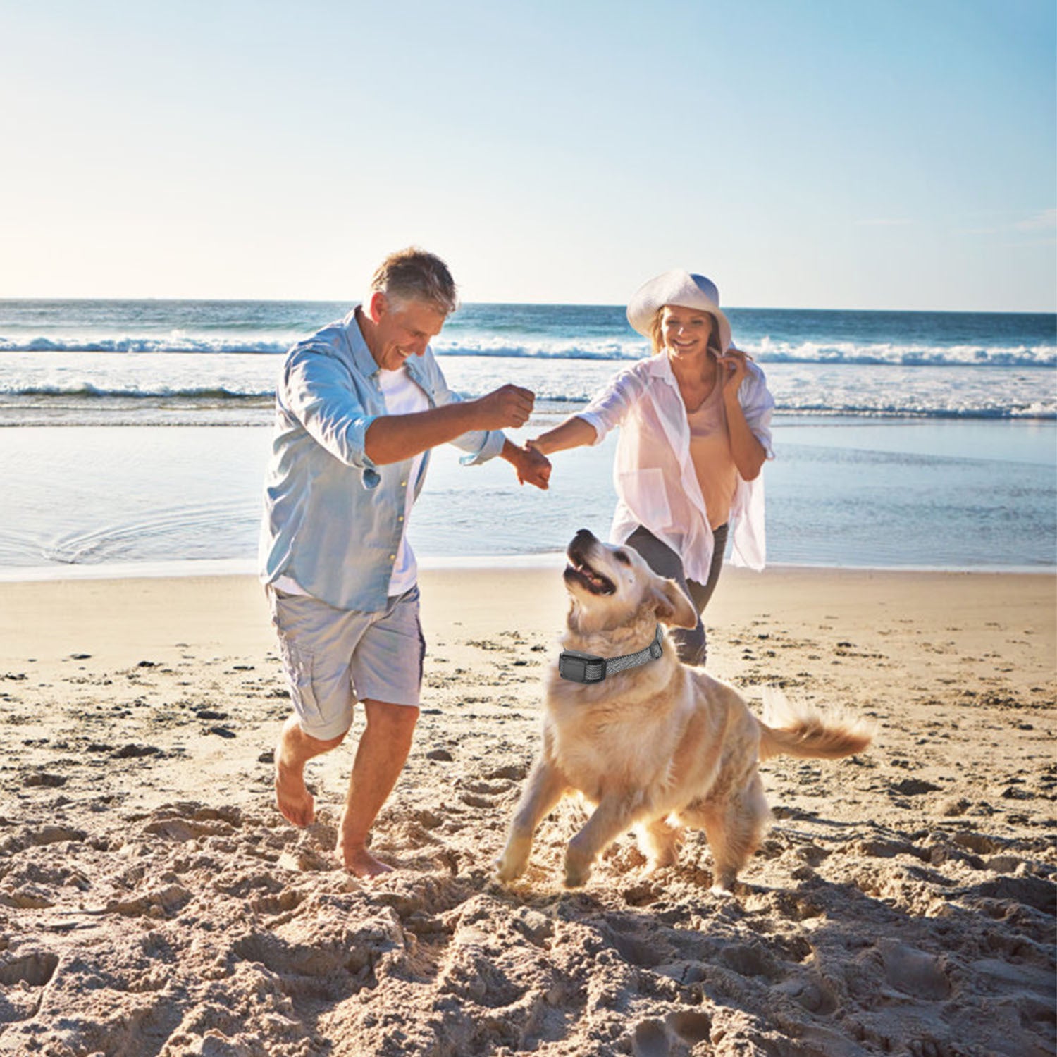 Citronella Bark Collar - Spray No Shock for Dogs IP65 Waterproof - Purrfect Pet Haven