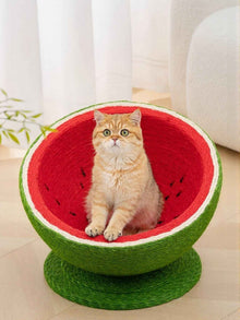 Watermelon Shaped Cat Scratching Post Nest