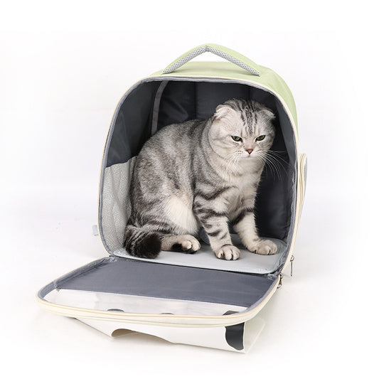 Cat sitting inside a backpack on a white background