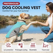 Dog Cooling Vest with D-Ring – For Active Pup Adventures