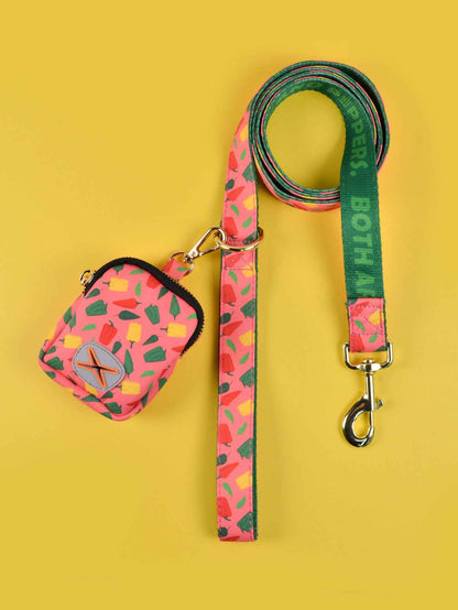 Dog Leash with Poop Bag Holder - Matching Set - Purrfect Pet Haven