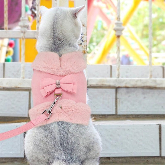 Cat wearing a pink outfit with a bow tie in an outdoor setting