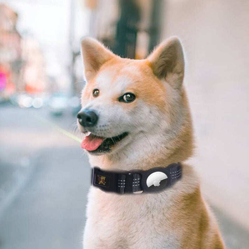 Mobile Phone Tracker Ready Pet Collar - Add GPS Device