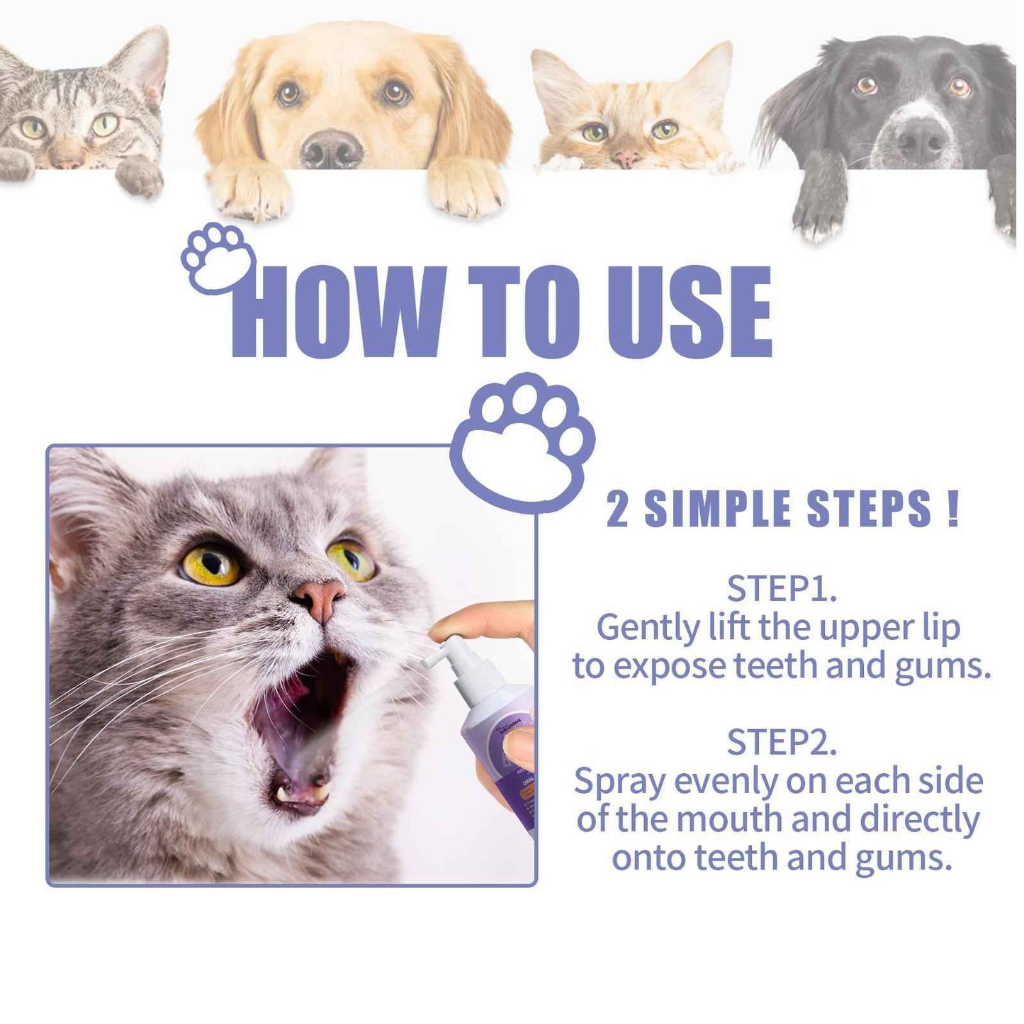 Pet Teeth Cleaning Spray - Natural Dental Care for Dogs & Cats - Purrfect Pet Haven