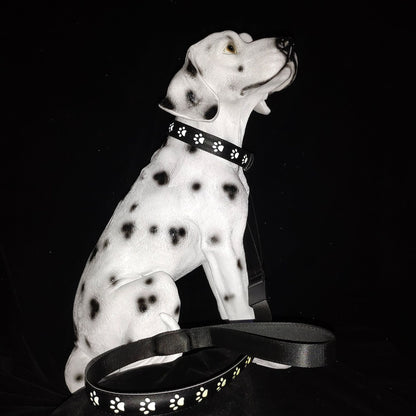 LED Dog Collar - 7 Color Luminous Paw Print USB Rechargeable