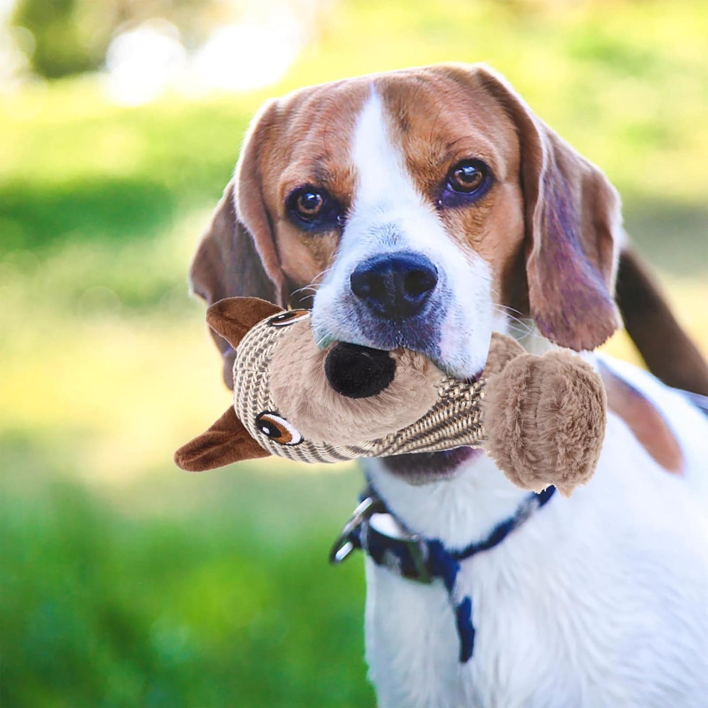 Large Plush Stuffed Animal Interactive Squeaky Dog Chew Toy