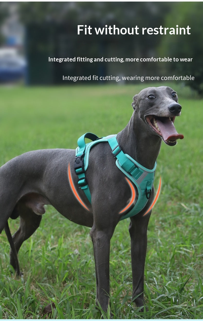 Dog Harness - Large Chest Style with Leash