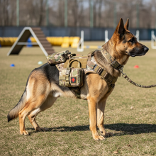 German Shepherd Side View Black Tactical Training Vest with Accessories