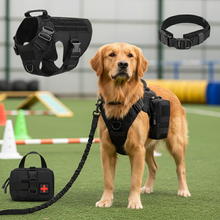 Golden Retriever Black Tactical Training Vest Complete 6-Piece Set