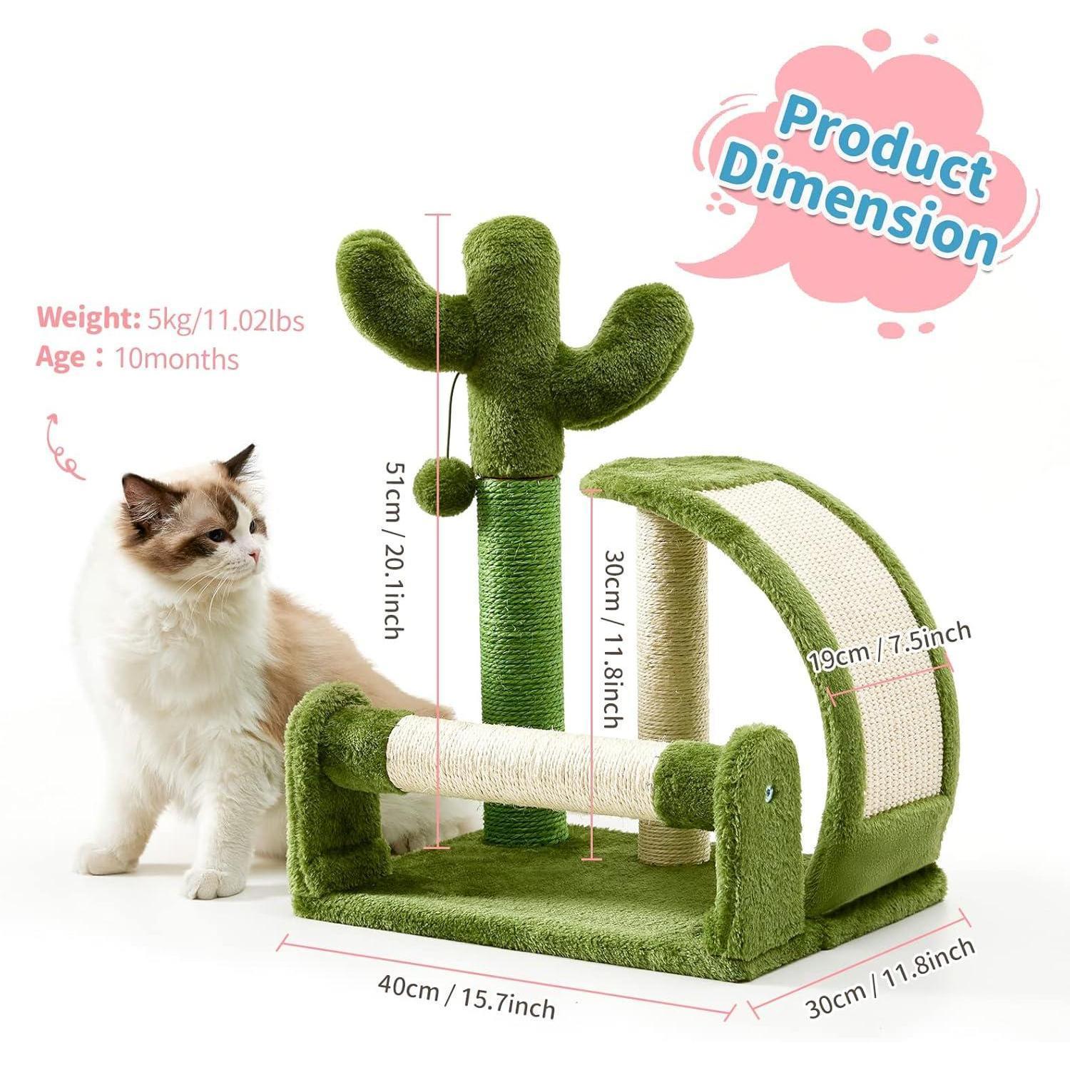 Wefulfil Green Cactus Shape Cat scratching post and play structure with plush cover and sisal ropes