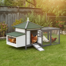 Grey wooden chicken coop with chickens in backyard garden setting