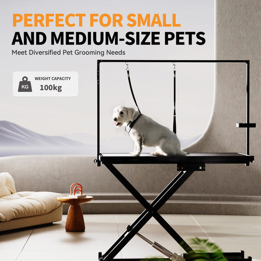 Wefulfil height adjustable pet grooming table with overhead arm and dog restraint holding small white dog
