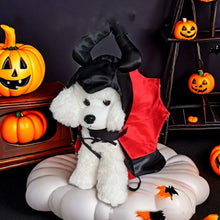 Adorable dog in a Halloween Pet Costume featuring a red cape and black horns, surrounded by Halloween decor