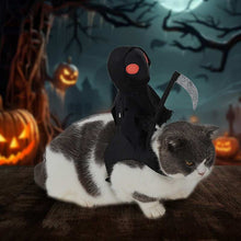 Harvest Knight Riding Outfit for Pets featuring a spooky design with a scythe and ghostly theme