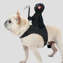 Harvest Knight Riding Outfit for dogs featuring a playful grim reaper design with a hooded cape