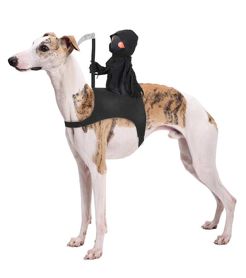 Harvest Knight Riding Outfit for dogs featuring a costume with a small grim reaper figure mounted on a sleek dog