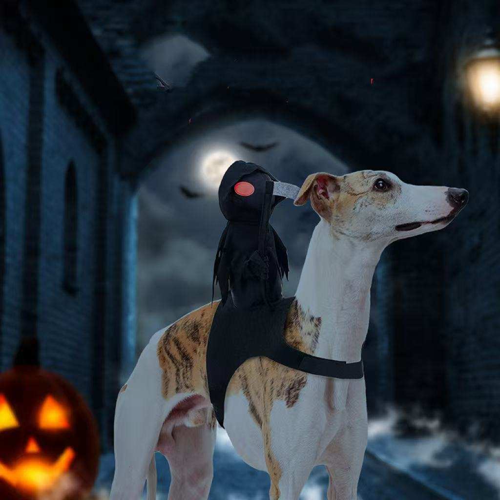 Harvest Knight Riding Outfit for dogs featuring a spooky design, perfect for Halloween festivities