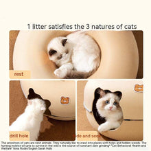 Cat relaxing and playing in a Hide and Seek Tunnel designed for comfort and fun