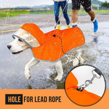Hooded Dog Rain Jacket in bright orange, designed with a hole for lead rope for rainy walks