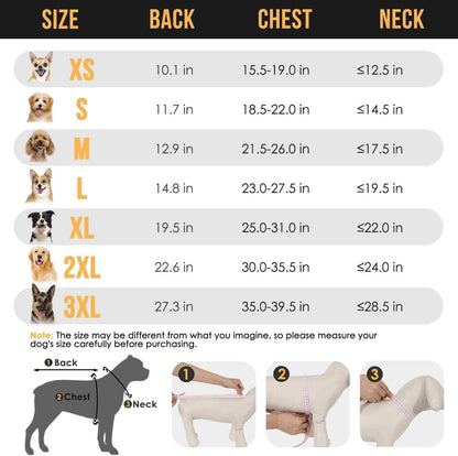 Size chart for Hooded Dog Rain Jacket with measurements for back, chest, and neck dimensions