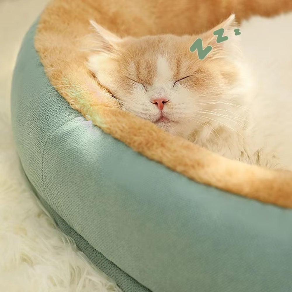 Plush Oval Pet Bed by Purrfect Pet Haven teal exterior with tan faux fur rim and sleeping cream cat