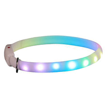 Colorful LED Lighted Dog Collar with bright lights for nighttime visibility and safety