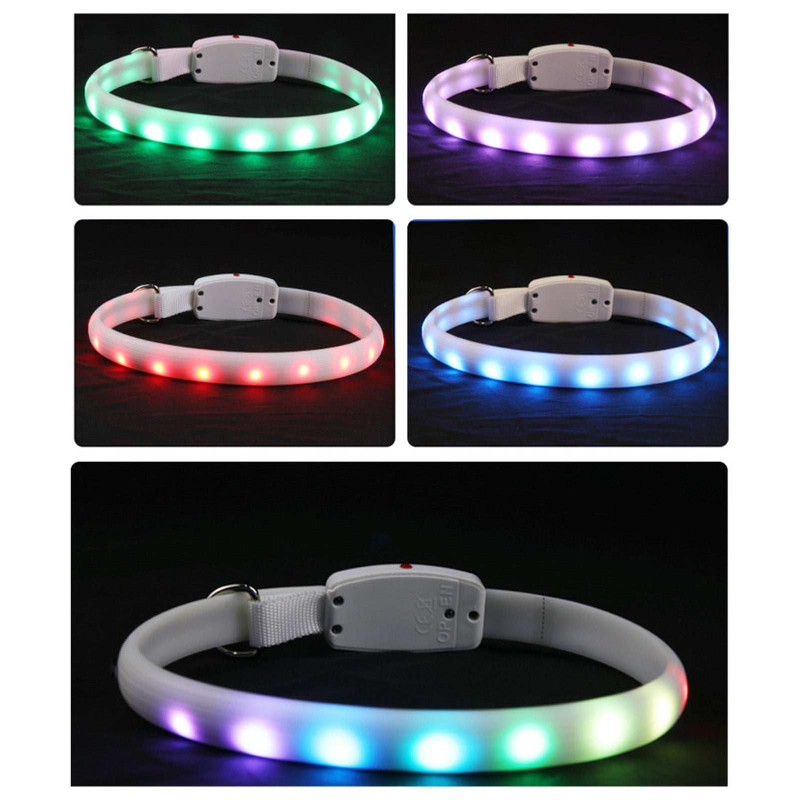 LED Lighted Dog Collar with multiple color options for nighttime visibility and safety