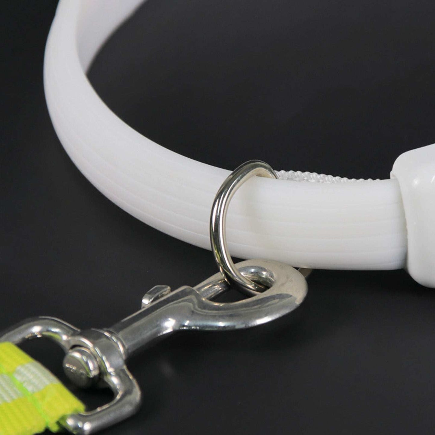 Close-up of a white LED Lighted Dog Collar with a metal clip for nighttime visibility