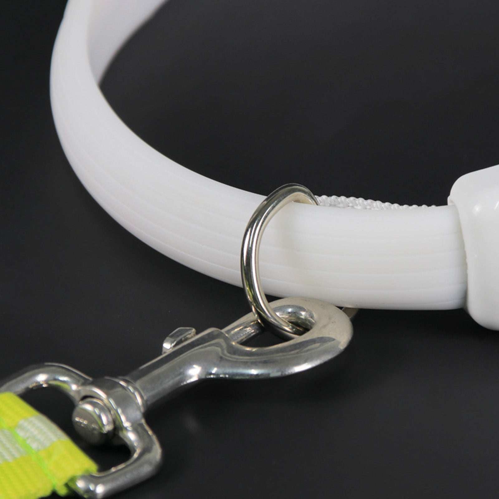 Close-up of a white LED Lighted Dog Collar with a metal clip for nighttime visibility