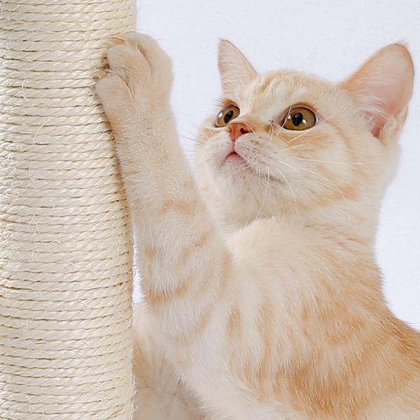 Wefulfil indoor cat scratching board sisal post with cream tabby kitten actively scratching and climbing