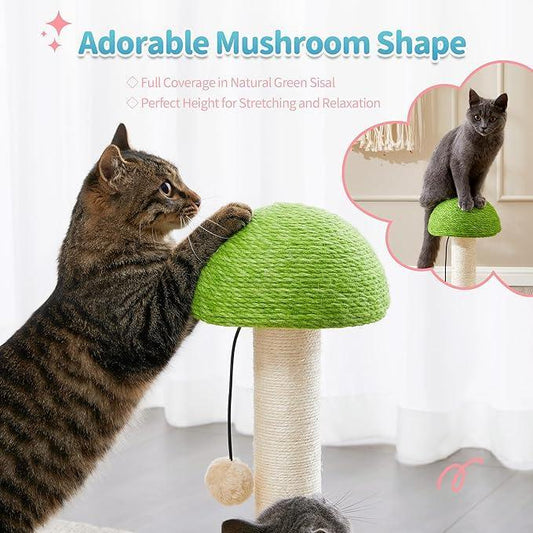 Green mushroom shaped cat scratching post with sisal pole and dangling toy, Wefulfil Wooden Scratching Post