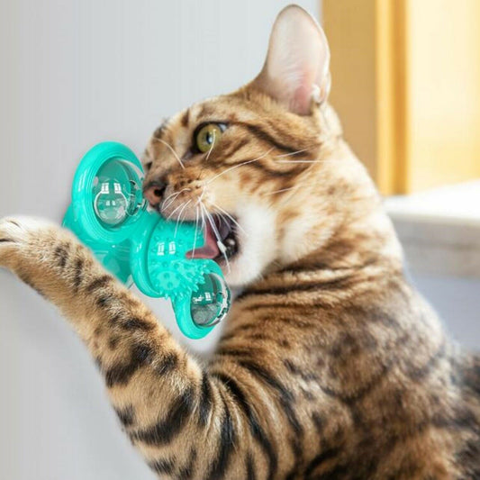 Tabby cat playing with a turquoise Wefulfil Massager Cat Toy for pet stimulation and grooming