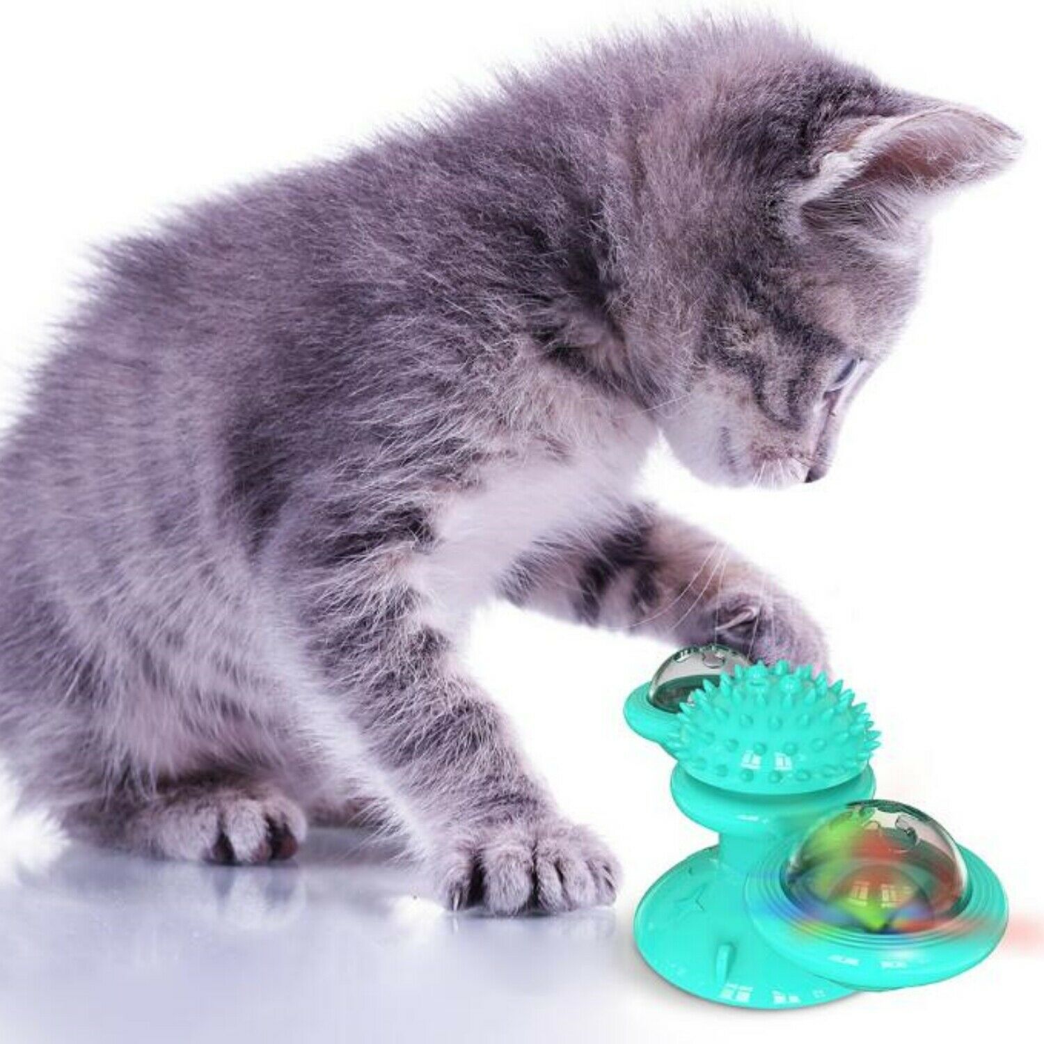 Gray kitten playing with a Wefulfil Massager Cat Toy in green with textured and spinning features