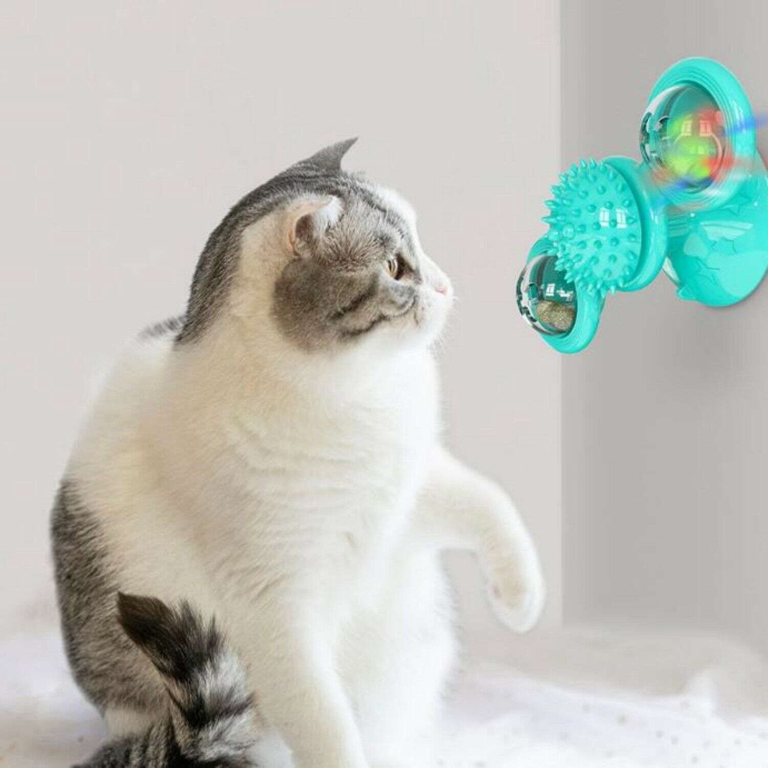 Wefulfil Massager Cat Toy in turquoise mounted on wall with a curious gray and white cat playing