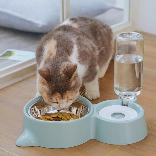 Wefulfil mint green cat feeder with stainless bowl and automatic pet water fountain bottle dispenser