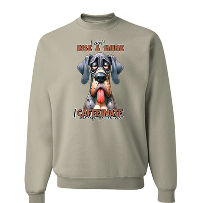 Rise n Shine Crewneck - Cozy Morning Sweatshirt - Purrfect Pet Haven