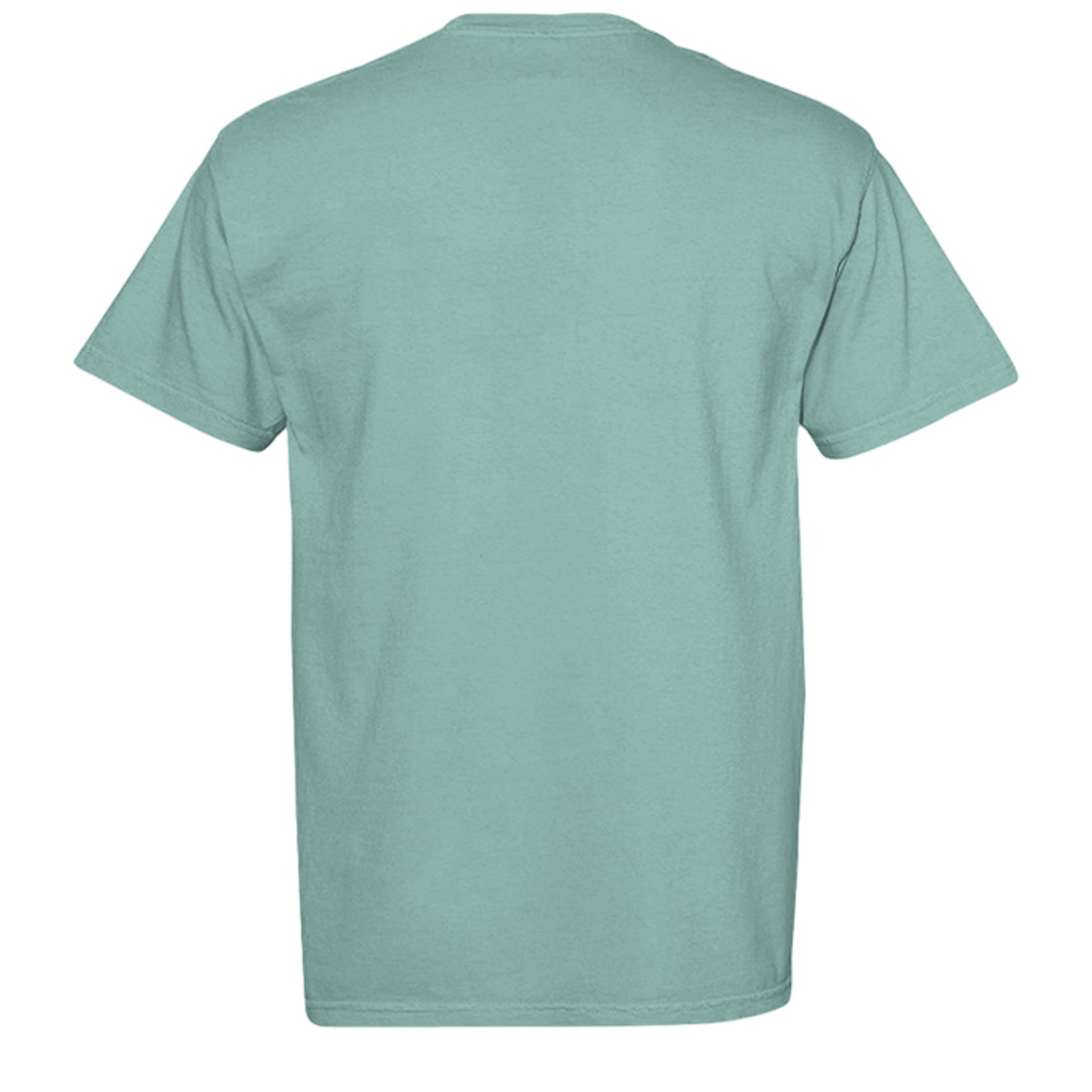 SEAFOAM - C1717 - BACK