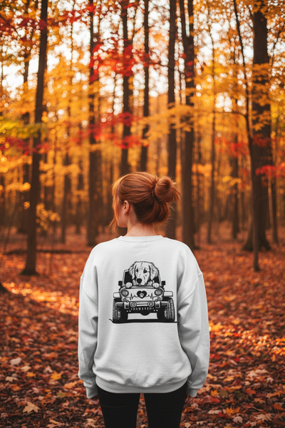 Outdoor Fall Walk