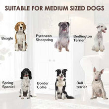Wefulfil adjustable dog feeding station suitable for medium sized dogs including Beagle Border Collie Bull Terrier